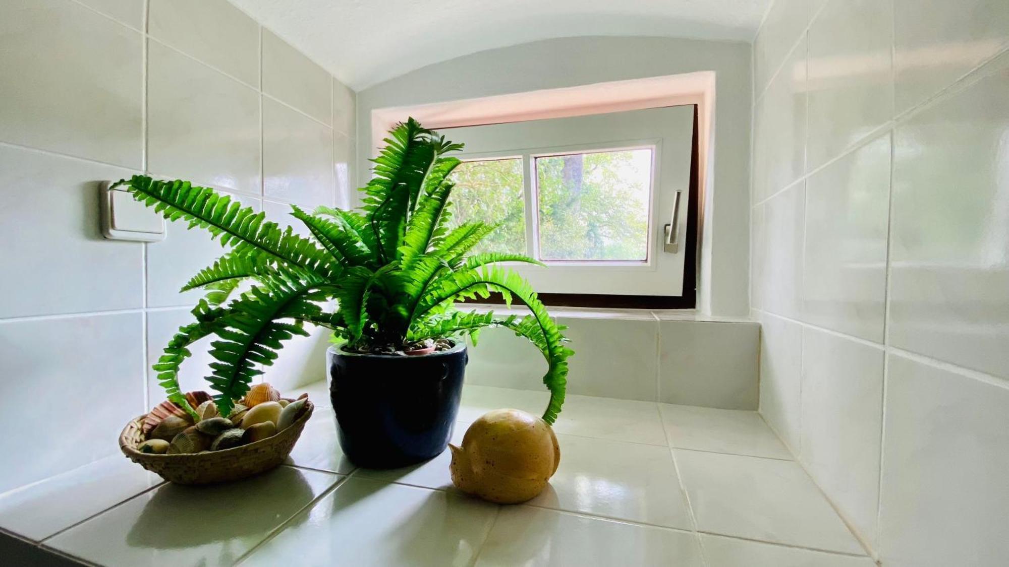 Ferienwohnung Villa Am Haussee 펠트베르크 외부 사진